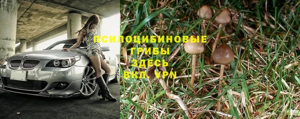 Альфа ПВП Елабуга