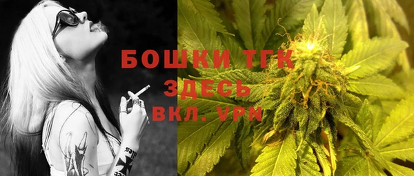 стафф Гусь-Хрустальный
