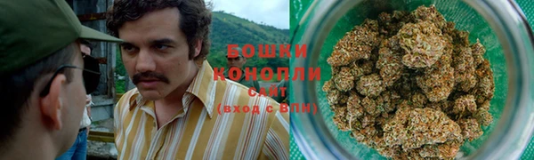 не бодяженный Дмитровск
