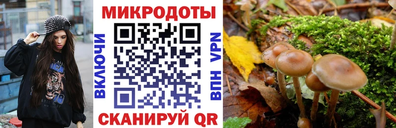 Галлюциногенные грибы мицелий  Карталы 
