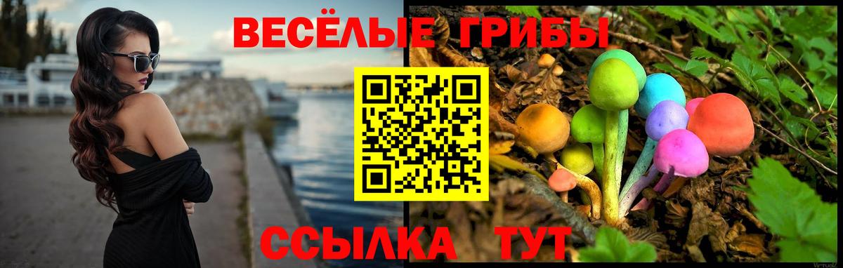 Карталы  Галлюциногенные грибы мицелий  Вход с VPN 